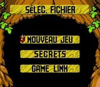 The Legend of Zelda - Oracle of Seasons, capture d'écran